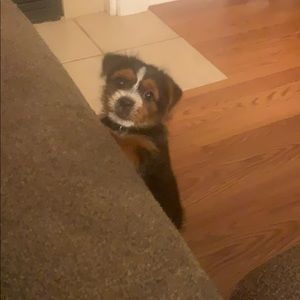 Meet your Posher, Kerri